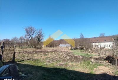 Casă cu 5 camere cu Teren 1782 Mp în Bârzava - 7