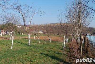 Teren de 2200 mp, în Central - 6