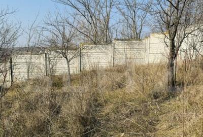 Casă cu 5 camere cu Teren 8759 Mp în Central - 4