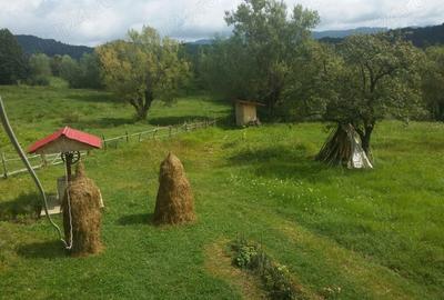 Teren de 5000 mp, în Galeșu - 5