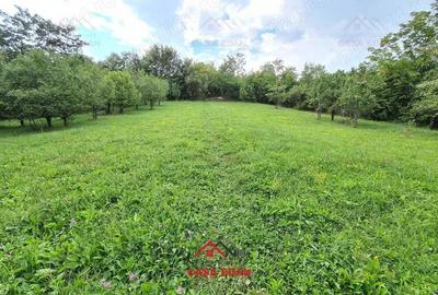 Teren intravilan in Poiana Campina--3287mp--10e - 6