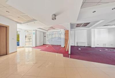 Showroom de vanzare, Calea Romanului - Bacau - 4