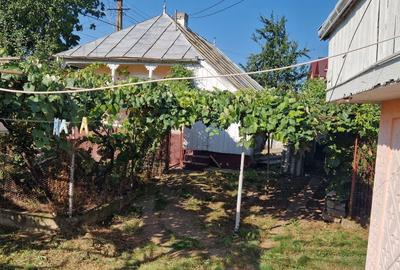 Casă cu 4 camere în Soci - 13