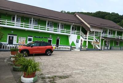 Vand pensiune si hotel la DN7/E81 Pitesti- Rm Valcea, teren 4 ha, 25euro/mp - 7