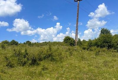 Teren de 54500 mp, în Jibert - 8