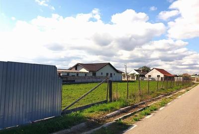 Casa cu teren mare in Cefa cu triplu front stradal - 14