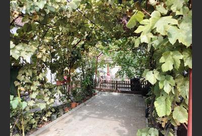 Casă Înșiruită pe Parter – Renovată Integral – Terasă + Curte - 4