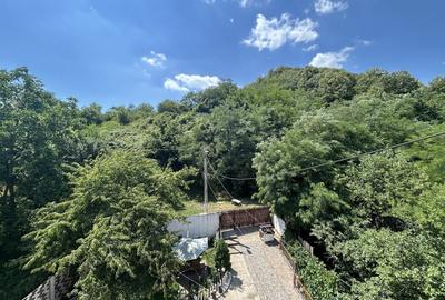 VAND O VILA IN PADUREA DIN FILIPESTI - 20