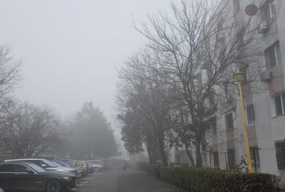 Garsoniera-renovata-integral-mobilata-utilata-poarta-6 - 11