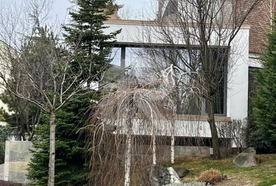 Stunning Villa_First rental after reno - 13