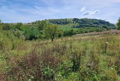 Teren de 4300 mp, în Ciurila - 4