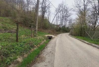 Teren 3100 mp si padure in Curtea de Arges zona Cuza Voda - 3