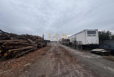 Spațiu comercial, de 17,770 mp, în Săcălaz - 1