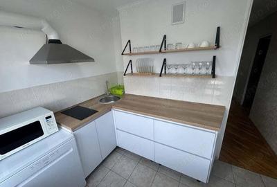 Inchiriere garsoniera Lujerului - 3