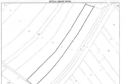 Teren de 6015 mp, în Bustuchin - 1