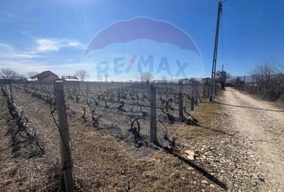 Teren de 1523 mp, în Unirea - 5