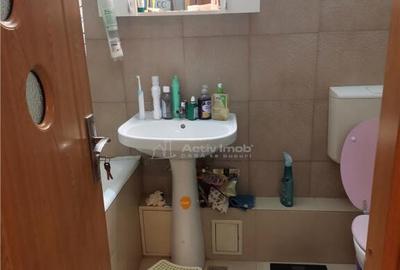 Teiul Doamnei, apartament 2 camere decom parter bloc 1982 - 4