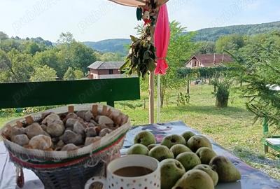 Casă cu 2 camere cu Teren 1400 Mp în Tutana - 5