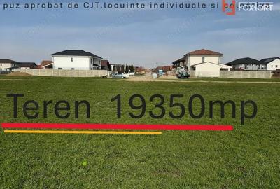 Teren de 19350 mp, în Chișoda - 2