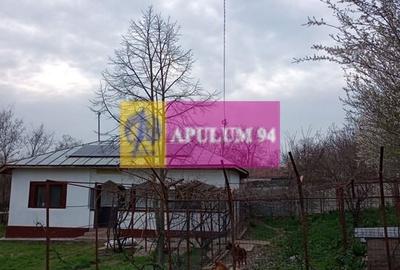 GIURGIU - COM. BUCSANI (SAT OBEDENI) CASA 2 CAM DE VANZARE - 25