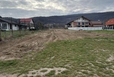 Spațiu comercial, în Bujoreni - 3