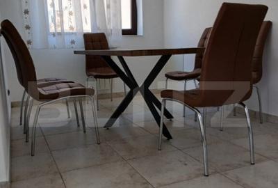 Vila in regim P+1, 250 mp2 utili, zona Ford - 4