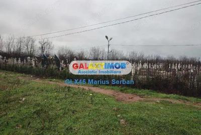 Vanzare teren extravilan Targoviste - 7