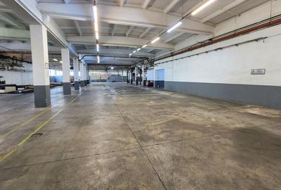 Spațiu industrial, 5926 mp în Tomnatic