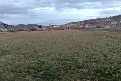 Teren de 3800 mp, în Central - 2