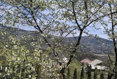 Casa de inchiriat Breaza de Sus in regim hotelier - 3