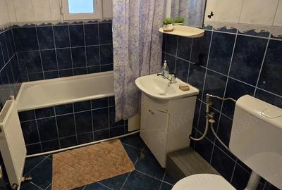 Apartament cu 3 camere decomandat în Buzaului - 5