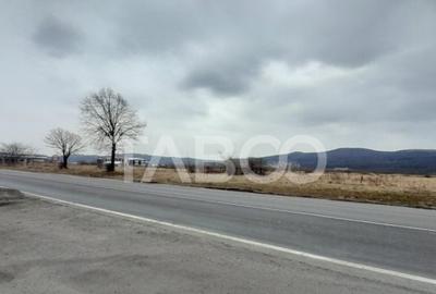 Teren de 15000 mp, în Tălmaciu - 12