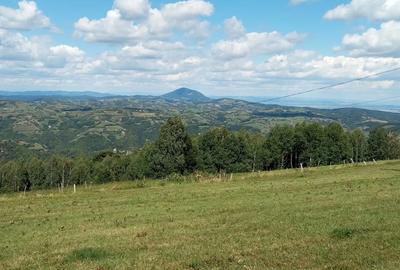 Teren în Poiana Mărului - 3