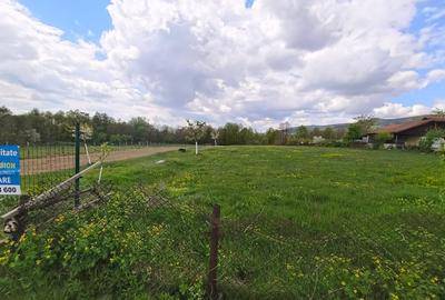 Teren Construcții intravilan de 19209 mp, în Crasna - 7