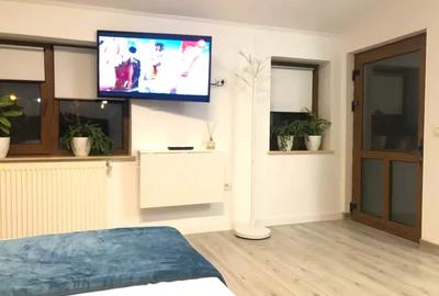 Studio la mansarda unei case P+M, in zona Spitalului Judetean - 4