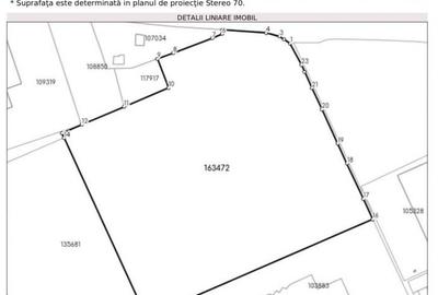 Teren agricol intravilan de 60000 mp, în Bartolomeu - 7