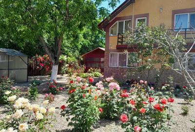 Casă cu 6 camere cu Teren 500 Mp în Movilița - 8