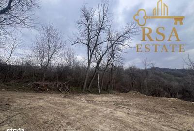 Teren de 2500 mp, în Goranu - 5