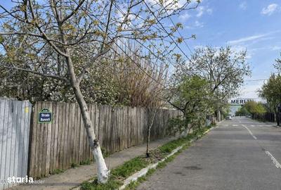 Spațiu comercial, în Chitila - 7