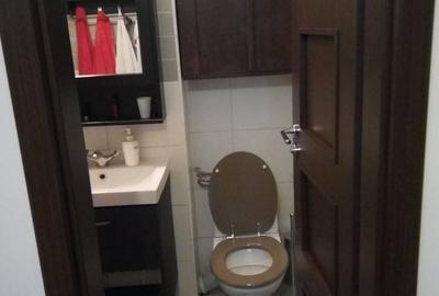Apartament cu 3 camere semidecomandat în Teiul Doamnei - 15