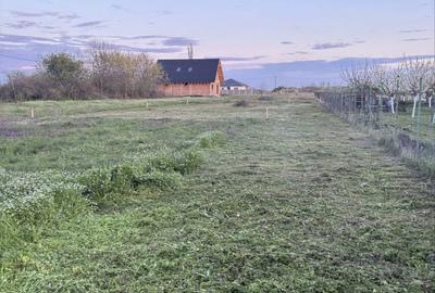 Spațiu comercial, în Rudicica - 2