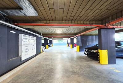 Apartament cu 2 camere semidecomandat, mobilat în Theodor Pallady - 18