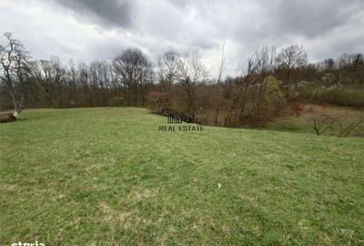 Spațiu comercial, în Central - 2