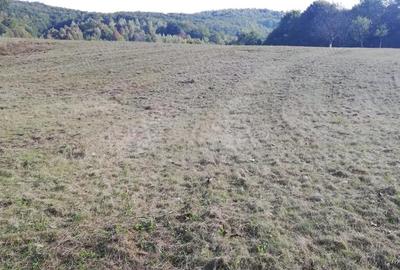 Teren de 7000 mp, în Negreni - 2
