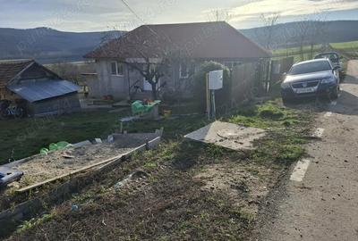 Casă cu 2 camere în Chițoc
