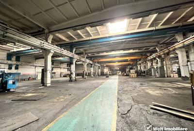 Spatiu industrial productie, pod rulant, zona blvd Muncii - 5