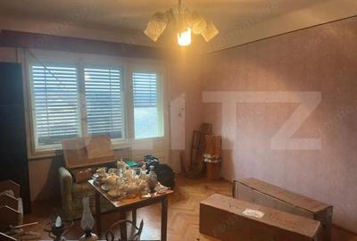 Casă cu 4 camere cu Teren 6197 Mp în Viile Satu Mare - 7