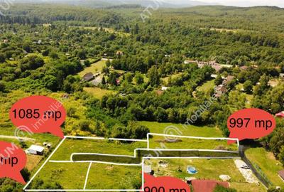 Teren de 900 mp, în Avrig