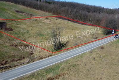 Teren de 10000 mp, în Central - 4