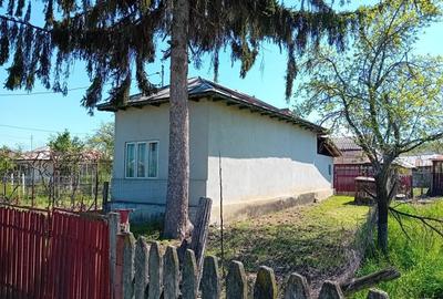 Casă cu 3 camere în Podenii Noi - 8